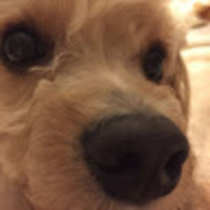 Meet your Posher, Katherine